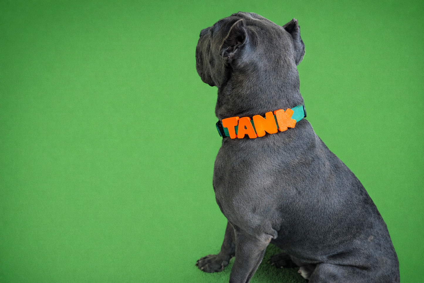 Barkstar Custom Charm Collar™