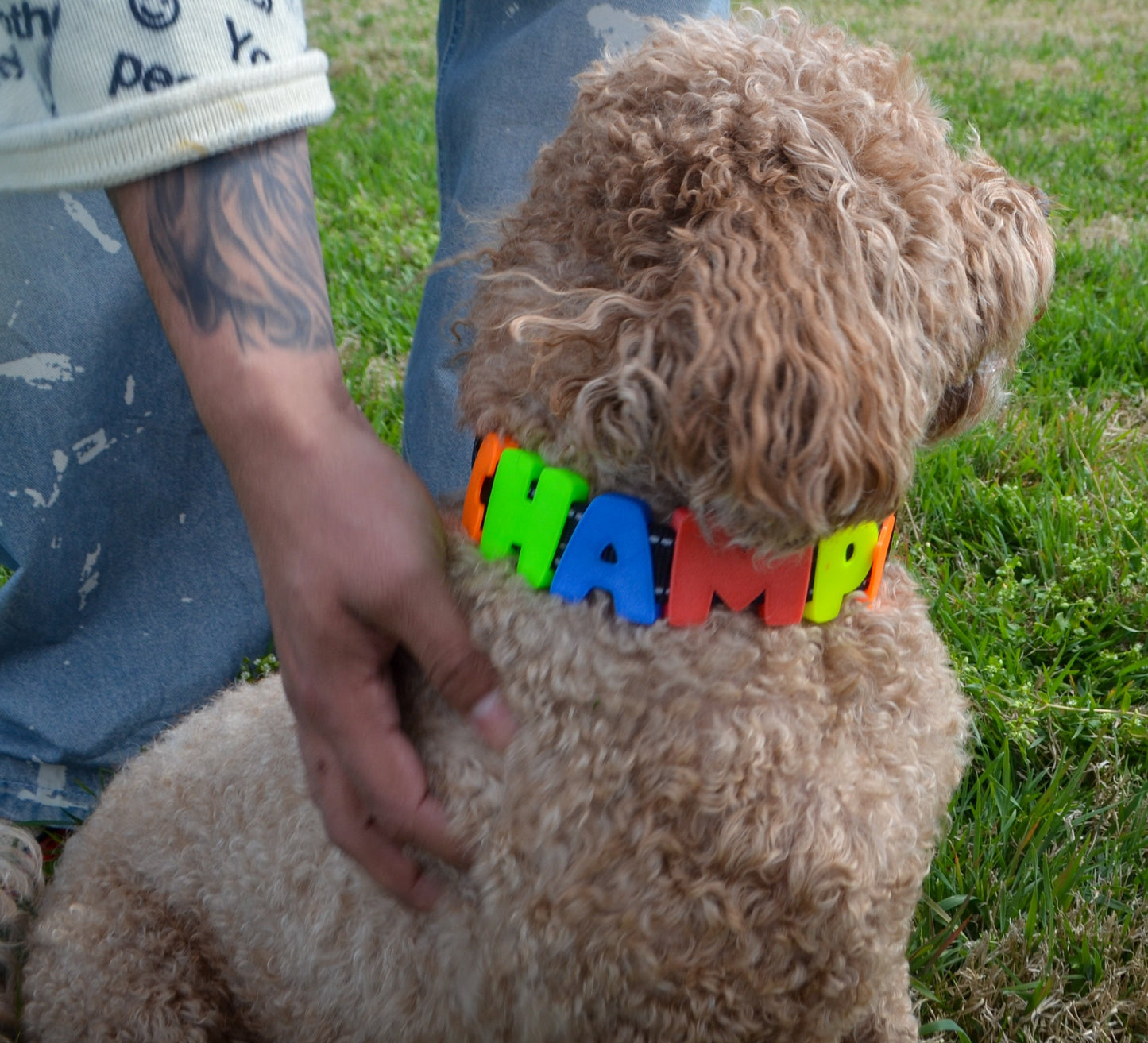 Barkstar Charm Packs