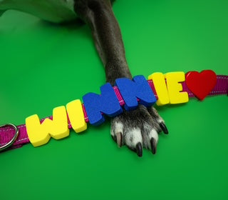 Barkstar Charm Packs