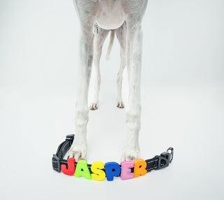 Barkstar Charm Packs